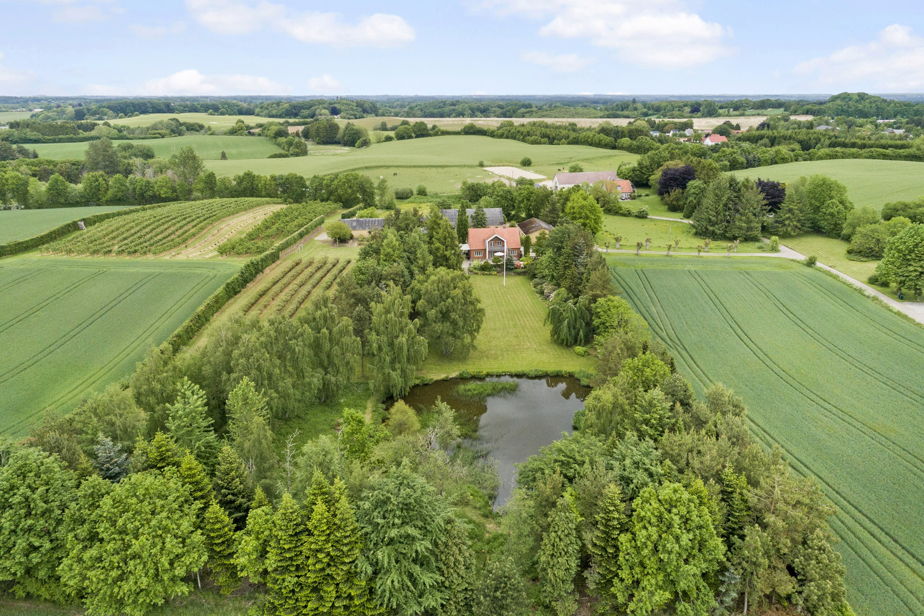 Hobbylandbrug på Odensevej 92 5492 Vissenbjerg.