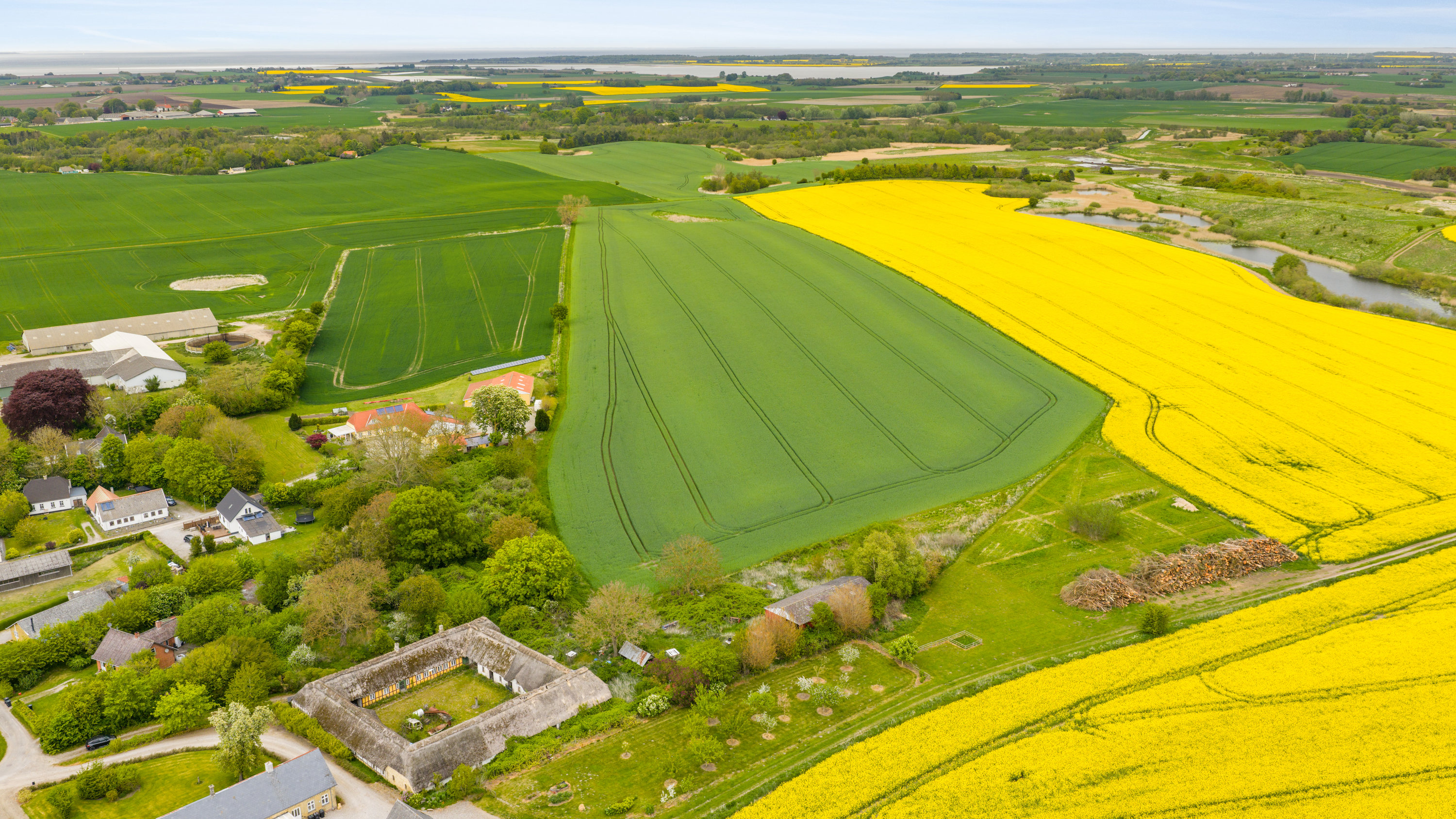 Hobbylandbrug på Krogen 17 5400 Bogense.